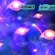 Illustration for article titled So Many First Screens For Evasive Space